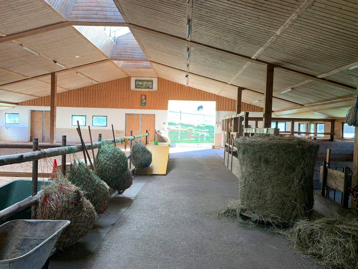 lilienhof-stall-3